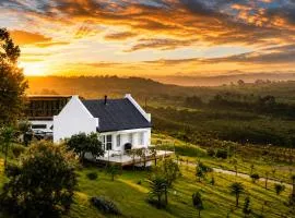 Plettenvale Wines