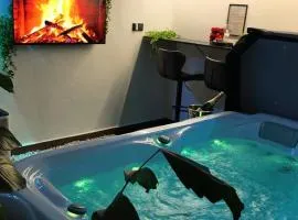 SPAYA JACUZZI centrum apartment - with home cinema & private parking