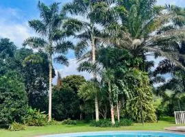 Beautiful house in the coffee region
