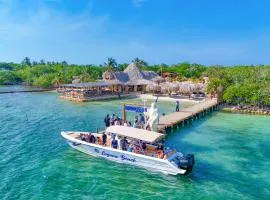 Tritonia Island Tintipán