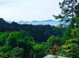 Dago Hills Homestay 43