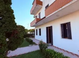 B&B Marku