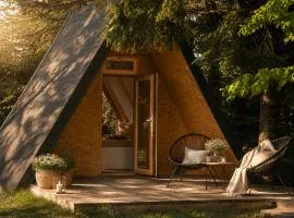 T'glamp Bird house
