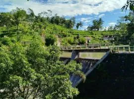 Live lombok homestay