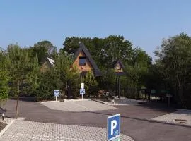 LES CHALETS DE COYRON.