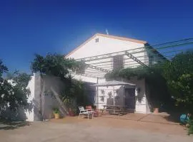 Comunidad El Olivo, 3. Olivar ecológico en Jaén