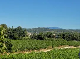 Domaine du Père Anatole