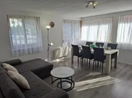 Familien-Loft Disentis Surselva Lukmanierpass