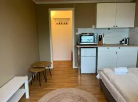 Cozy Studio Apartment - Free Parking & WiFi