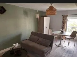 Studio cosy et rénové en hyper centre de Mont de Marsan