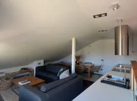 Apartamento loft Rural Carabias