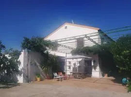 Comunidad El Olivo, 3. Olivar ecológico en Jaén