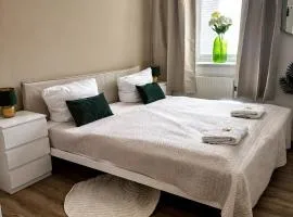Stilvolles Business-Apartment Chemnitz Süd - Schreibtisch - Waschmaschine - 3 Personen - WIFI - Nähe Uni