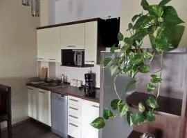 Apartamenty Silver Premium