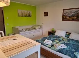 Ferienwohnung 6 Bergblick
