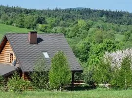 Domek w górach z jacuzzi