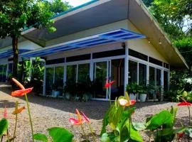 Pino Lodge, Río Celeste