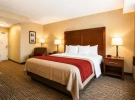 Comfort Inn Pomona near Fairplex