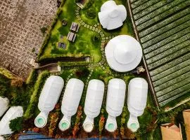 Onion Hill Glamping by Manara