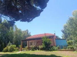 Κτήμα Εμιαλη