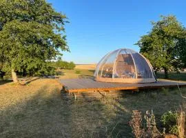 Bulle insolite avec spa