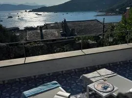 Le Streghe di Venere