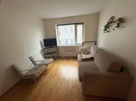 A Cozy Central Apartment