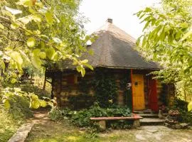 Bukowica Miła - Dom z sauną w sercu Natury 2000