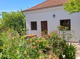 Casa Fátima Valle Gran Rey
