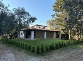 Villa Amedeo