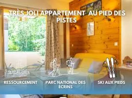 Appartement cosy au pied des pistes de Pelvoux-Vallouise - Parc national des Écrins