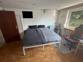 Heimkino Studio Göppingen AC Projector King Bed