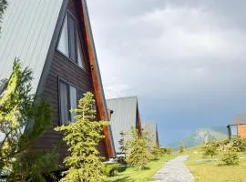 Seuri Cottages