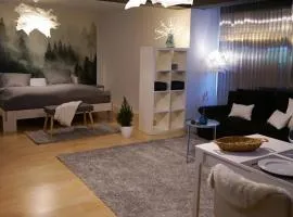 Ruhig 50 qm Apartment eigener Parkplatz Hasel, Lörrach, Basel