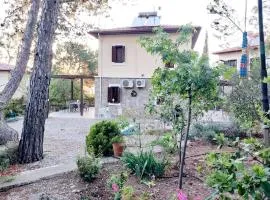 The Village