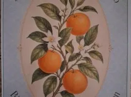 Casa Naranja