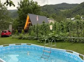 Shoda Valley შოდა ველი