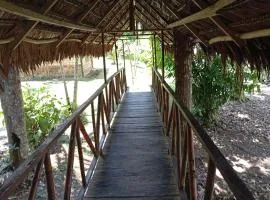 Amazon Lodge and Expeditions