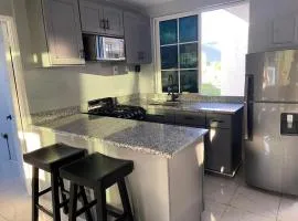 Flat in Kingston