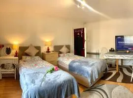Spacious twin room ground floor street parking