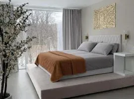 Platinum VIP - Northern light luxury house