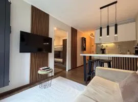 Appartement rénové avec balcon à Flumet