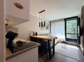 Renovated apartment with balcony in Flumet