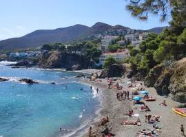 Guesthouse Costa Brava Llança