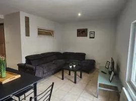 Appartement Maraussan 40 m² avec garage