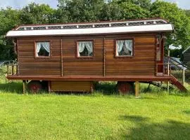Camping Pieterom - Pipowagen