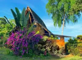 Cabin with incredible ocean and rainforest views