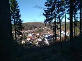 Ferienwohnung Rothenbusch
