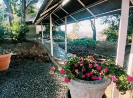 Budleigh Guesthouse