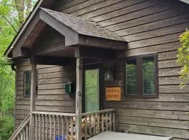 Asheville Cabins of Willow Winds